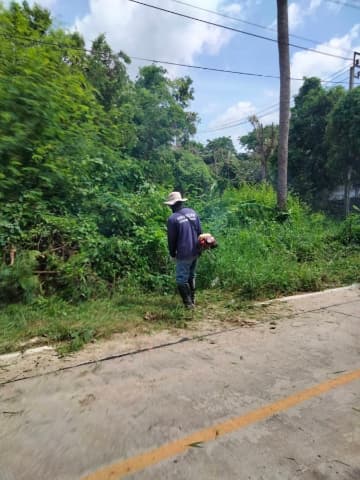 ปรับปรุงภูมิทัศน์ บริเวณไสวพล ภาพที่ 4