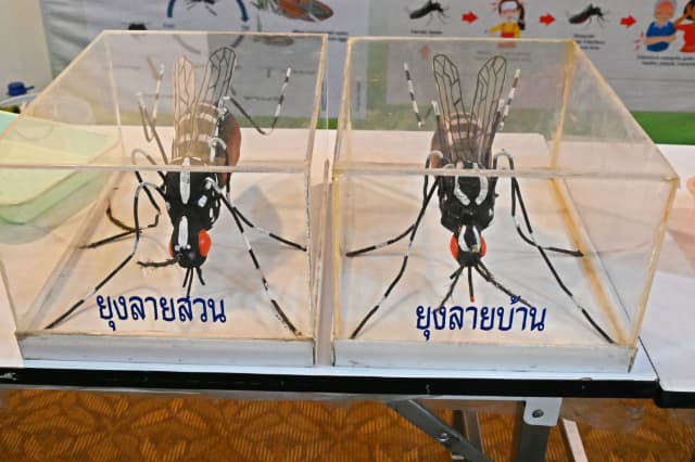 โครงการอบรมรณรงค์ป้องกันโรคไข้เลือดออก ภาพที่ 4
