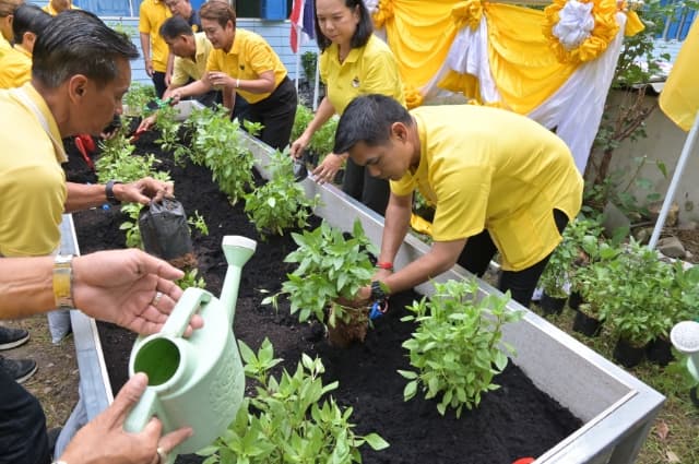 กิจกรรมโครงการ 1 อปท. 1 สวนสมุนไพร เฉลิมพระเกียรติ พระบาทสมเด็จพระเจ้าอยู่หัว เนื่องในโอกาสวันเฉลิมพระชนมพรรษา 28 กรกฏาคม 2567 ภาพที่ 10